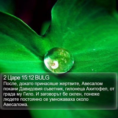2 Царе 15:12 BULG Bible Verse Image