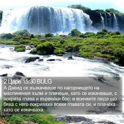 2 Царе 15:30 BULG Bible Verse Image