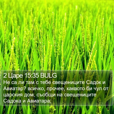 2 Царе 15:35 BULG Bible Verse Image