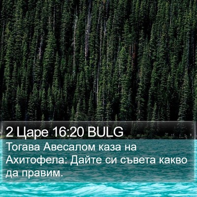 2 Царе 16:20 BULG Bible Verse Image