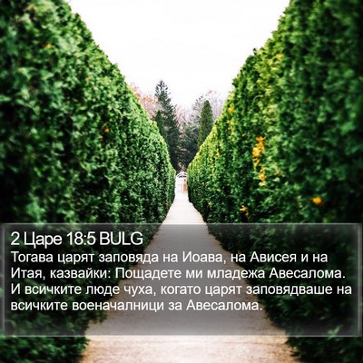 2 Царе 18:5 BULG Bible Verse Image