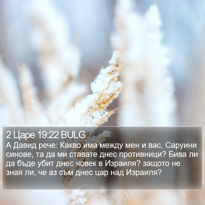 2 Царе 19:22 BULG Bible Verse Image