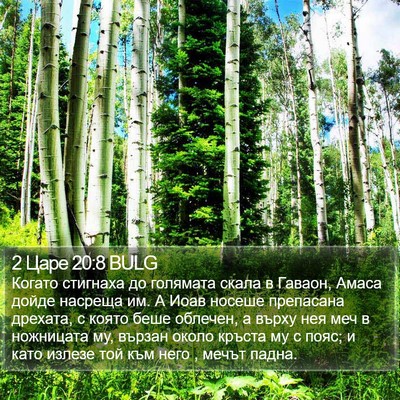 2 Царе 20:8 BULG Bible Verse Image