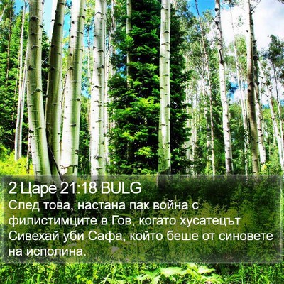 2 Царе 21:18 BULG Bible Verse Image