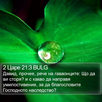 2 Царе 21:3 BULG Bible Verse Image