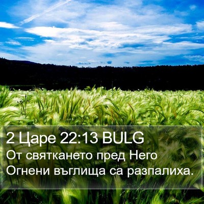 2 Царе 22:13 BULG Bible Verse Image