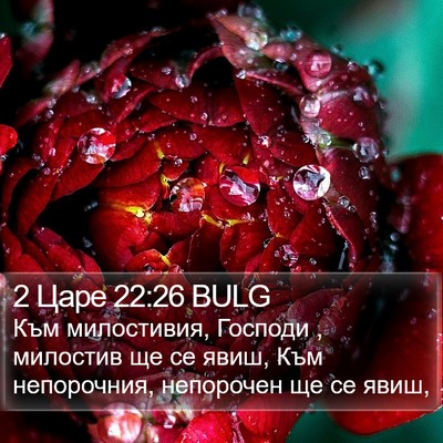 2 Царе 22:26 BULG Bible Verse Image
