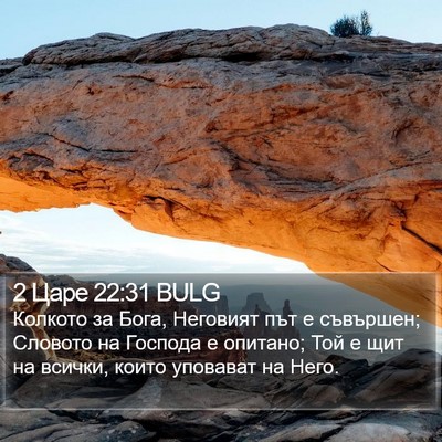 2 Царе 22:31 BULG Bible Verse Image