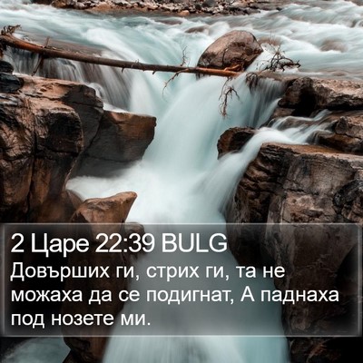 2 Царе 22:39 BULG Bible Verse Image