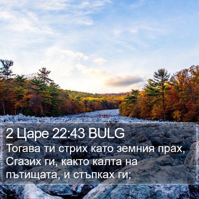 2 Царе 22:43 BULG Bible Verse Image