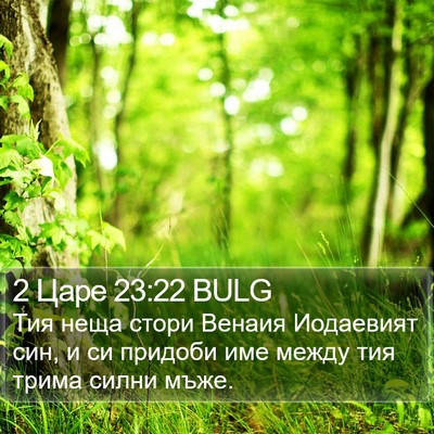2 Царе 23:22 BULG Bible Verse Image