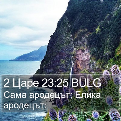 2 Царе 23:25 BULG Bible Verse Image