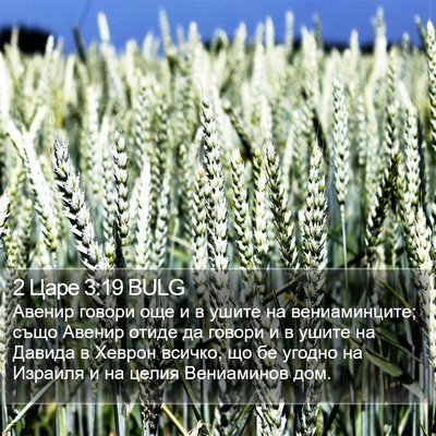 2 Царе 3:19 BULG Bible Verse Image