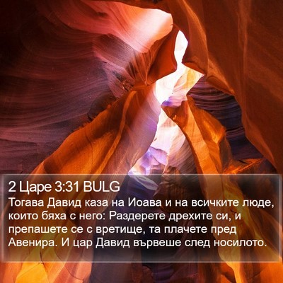 2 Царе 3:31 BULG Bible Verse Image