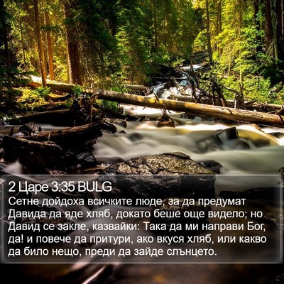 2 Царе 3:35 BULG Bible Verse Image