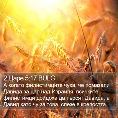 2 Царе 5:17 BULG Bible Verse Image