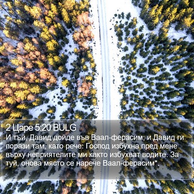 2 Царе 5:20 BULG Bible Verse Image
