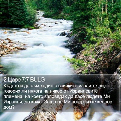 2 Царе 7:7 BULG Bible Verse Image