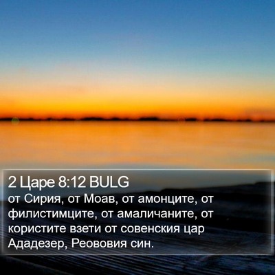 2 Царе 8:12 BULG Bible Verse Image
