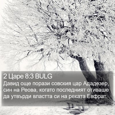 2 Царе 8:3 BULG Bible Verse Image