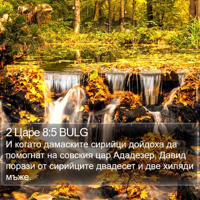 2 Царе 8:5 BULG Bible Verse Image