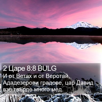 2 Царе 8:8 BULG Bible Verse Image