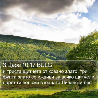 3 Царе 10:17 BULG Bible Verse Image