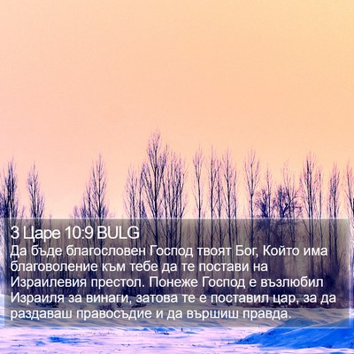 3 Царе 10:9 BULG Bible Verse Image
