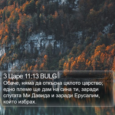 3 Царе 11:13 BULG Bible Verse Image