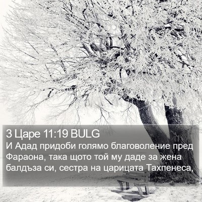 3 Царе 11:19 BULG Bible Verse Image