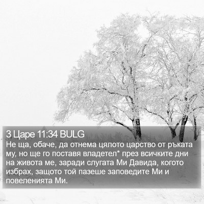 3 Царе 11:34 BULG Bible Verse Image