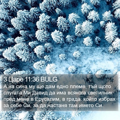 3 Царе 11:36 BULG Bible Verse Image