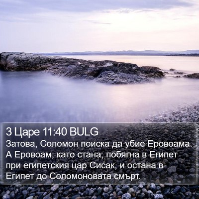 3 Царе 11:40 BULG Bible Verse Image