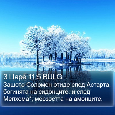 3 Царе 11:5 BULG Bible Verse Image