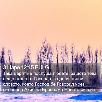 3 Царе 12:15 BULG Bible Verse Image
