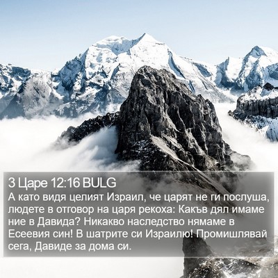3 Царе 12:16 BULG Bible Verse Image