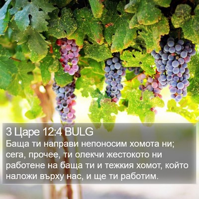 3 Царе 12:4 BULG Bible Verse Image