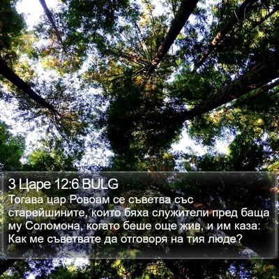 3 Царе 12:6 BULG Bible Verse Image