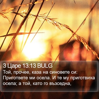 3 Царе 13:13 BULG Bible Verse Image