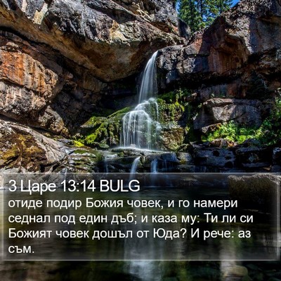 3 Царе 13:14 BULG Bible Verse Image
