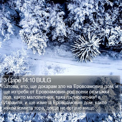 3 Царе 14:10 BULG Bible Verse Image
