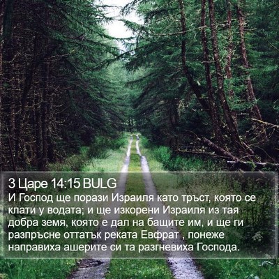 3 Царе 14:15 BULG Bible Verse Image