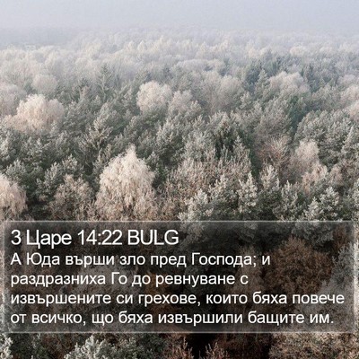3 Царе 14:22 BULG Bible Verse Image