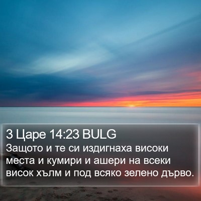 3 Царе 14:23 BULG Bible Verse Image