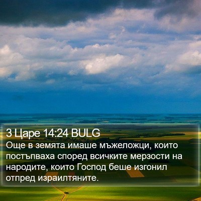 3 Царе 14:24 BULG Bible Verse Image