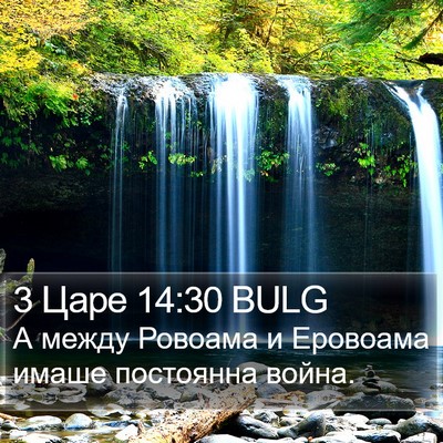3 Царе 14:30 BULG Bible Verse Image