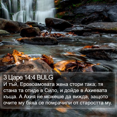 3 Царе 14:4 BULG Bible Verse Image