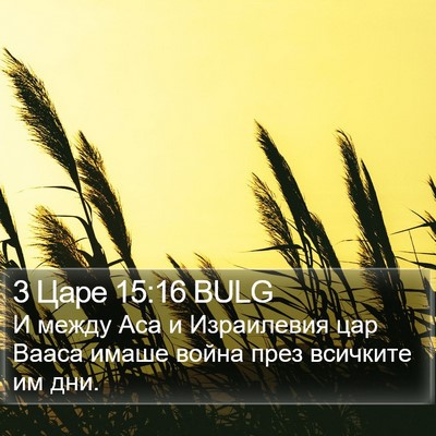 3 Царе 15:16 BULG Bible Verse Image