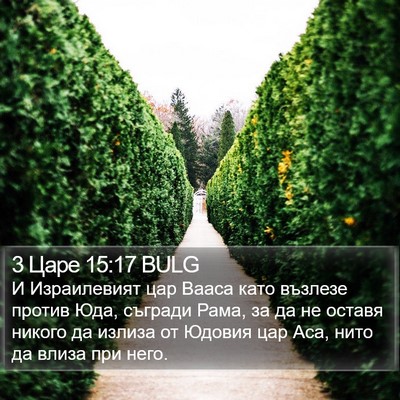 3 Царе 15:17 BULG Bible Verse Image