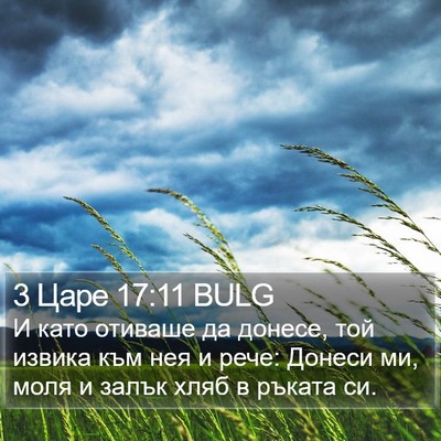 3 Царе 17:11 BULG Bible Verse Image